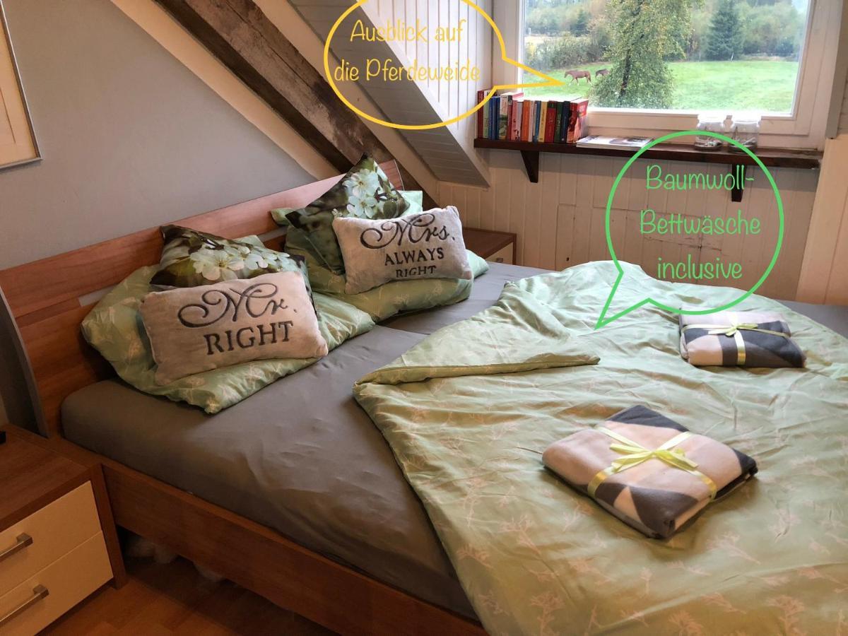 Hof Vierzehnender Im Hohen Venn - 70Qm Fachwerk-Studio - Grosses Wohn-Schlafzimmer Mit Dachterrasse Und Kaminofen - Separate Kueche - Perfekt Fuer Paare - Monschau - Eifel - Hunde Willkommen - Islandpferde Ngoại thất bức ảnh