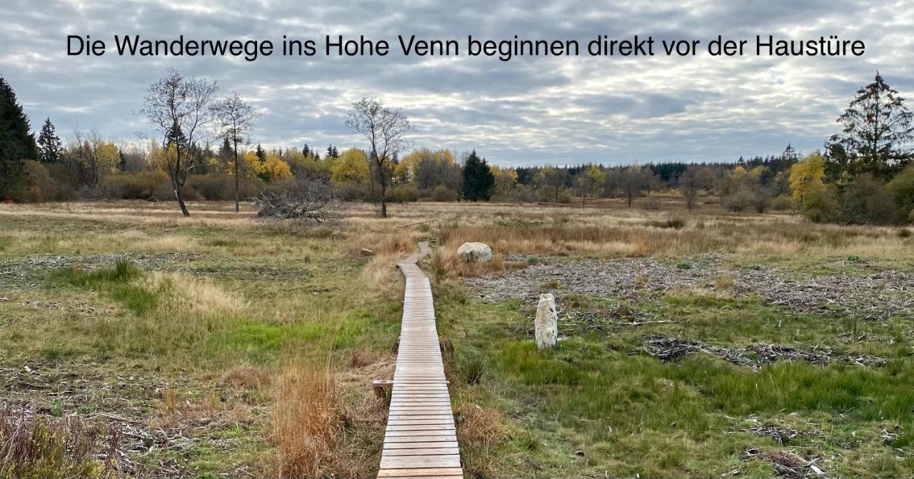Hof Vierzehnender Im Hohen Venn - 70Qm Fachwerk-Studio - Grosses Wohn-Schlafzimmer Mit Dachterrasse Und Kaminofen - Separate Kueche - Perfekt Fuer Paare - Monschau - Eifel - Hunde Willkommen - Islandpferde Ngoại thất bức ảnh