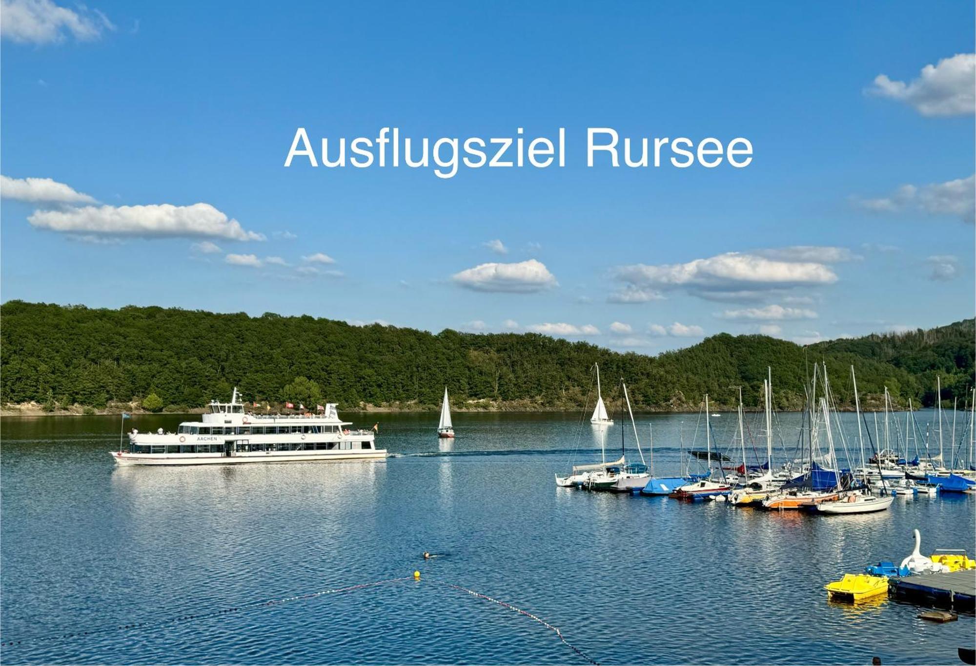 Hof Vierzehnender Im Hohen Venn - 70Qm Fachwerk-Studio - Grosses Wohn-Schlafzimmer Mit Dachterrasse Und Kaminofen - Separate Kueche - Perfekt Fuer Paare - Monschau - Eifel - Hunde Willkommen - Islandpferde Ngoại thất bức ảnh