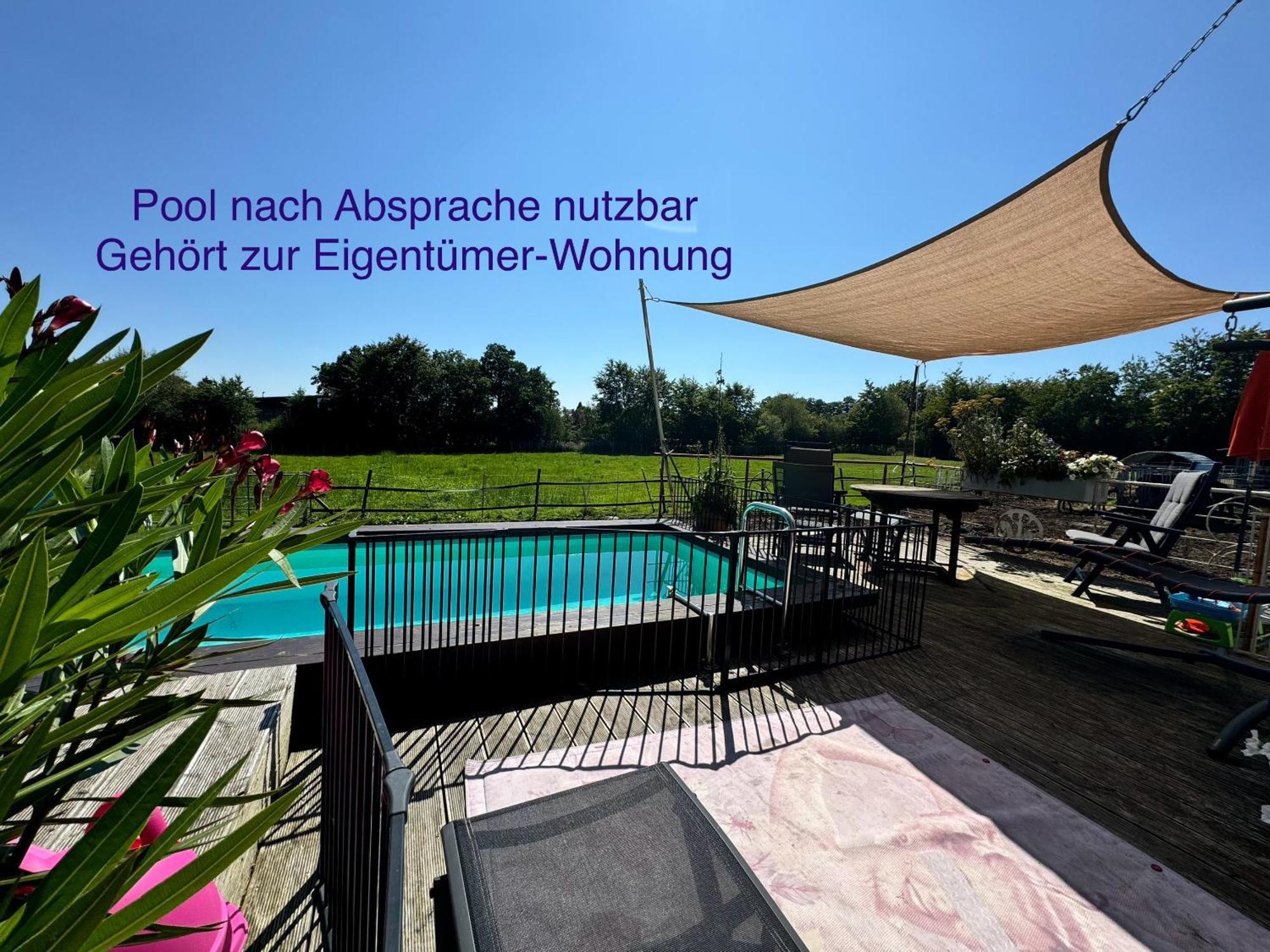 Hof Vierzehnender Im Hohen Venn - 70Qm Fachwerk-Studio - Grosses Wohn-Schlafzimmer Mit Dachterrasse Und Kaminofen - Separate Kueche - Perfekt Fuer Paare - Monschau - Eifel - Hunde Willkommen - Islandpferde Ngoại thất bức ảnh