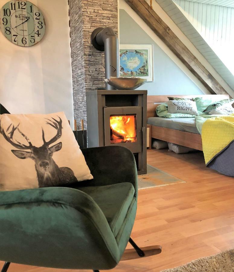 Hof Vierzehnender Im Hohen Venn - 70Qm Fachwerk-Studio - Grosses Wohn-Schlafzimmer Mit Dachterrasse Und Kaminofen - Separate Kueche - Perfekt Fuer Paare - Monschau - Eifel - Hunde Willkommen - Islandpferde Ngoại thất bức ảnh
