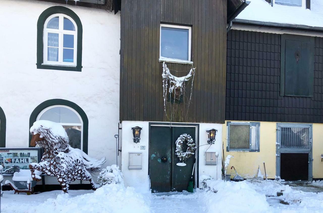 Hof Vierzehnender Im Hohen Venn - 70Qm Fachwerk-Studio - Grosses Wohn-Schlafzimmer Mit Dachterrasse Und Kaminofen - Separate Kueche - Perfekt Fuer Paare - Monschau - Eifel - Hunde Willkommen - Islandpferde Ngoại thất bức ảnh